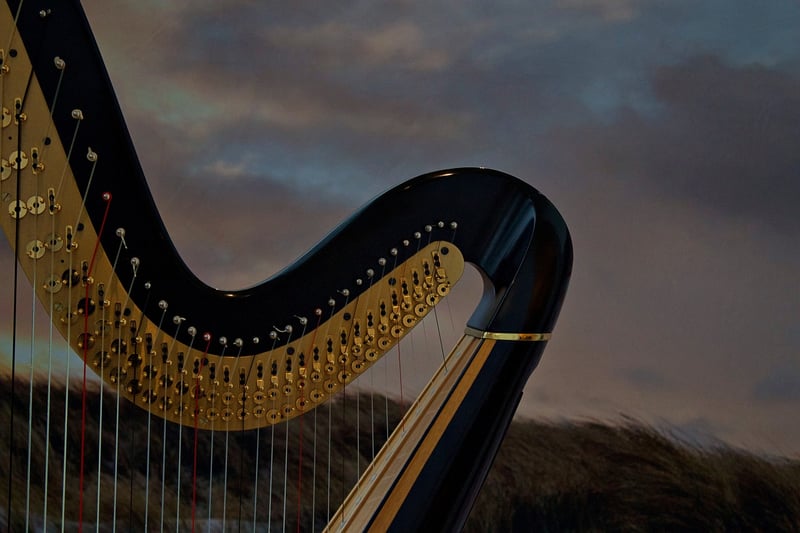 Enchanting Entertainment